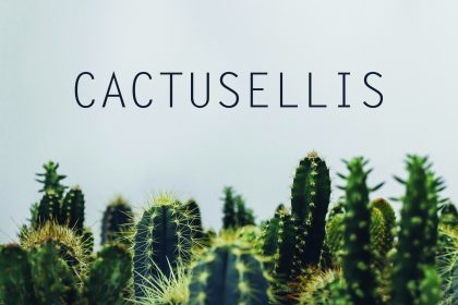 Онлайн магазин Cactusellis от Speedflow - Вашето бизнес решение