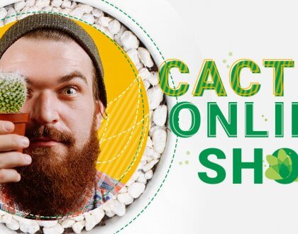 Cactus Online Shop - онлайн магазин за кактуси и сукуленти: от хоби към процъфтяващ бизнес