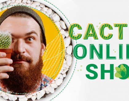 Cactus Online - a hobby that turned into a successful business