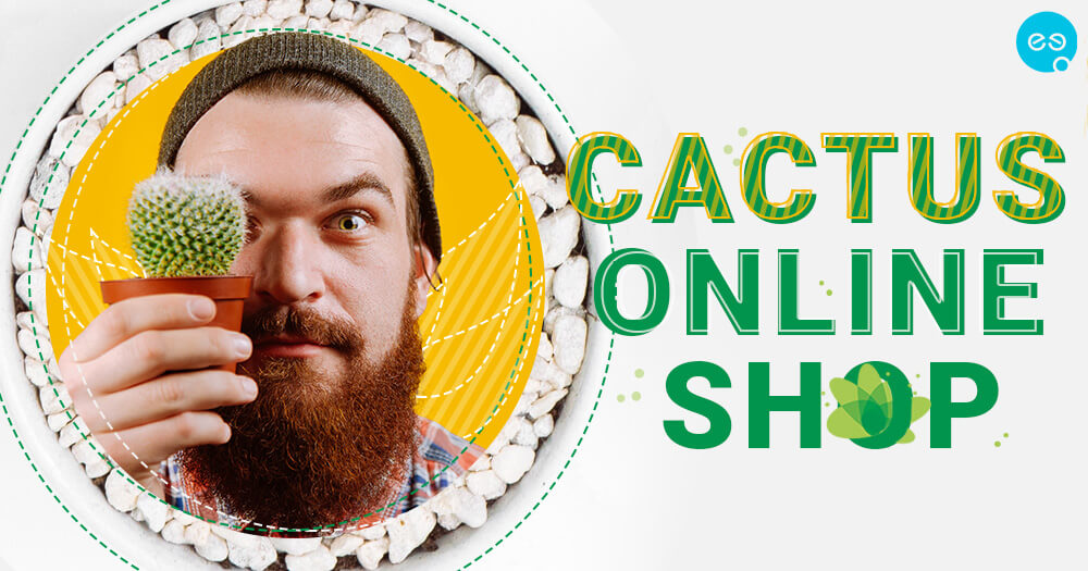 Cactus Online - a hobby that turned into a successful business